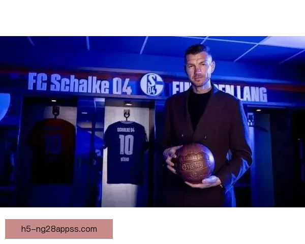 罗马诺确认沙尔克签下哲科