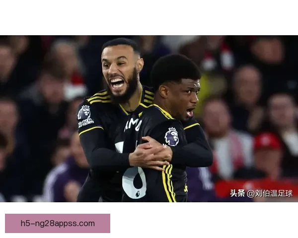 非洲杯冲突贝尔加利被停赛四场