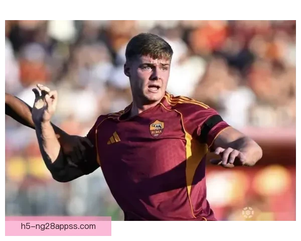 弗格森伤病引发爱尔兰国际关注